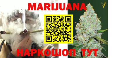 гидропоника Гусиноозёрск
